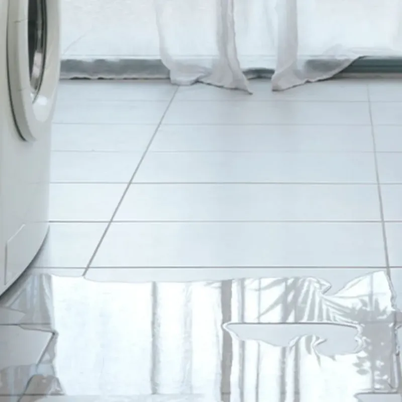 Appliance Leak Cleanup in Boothbay, ME