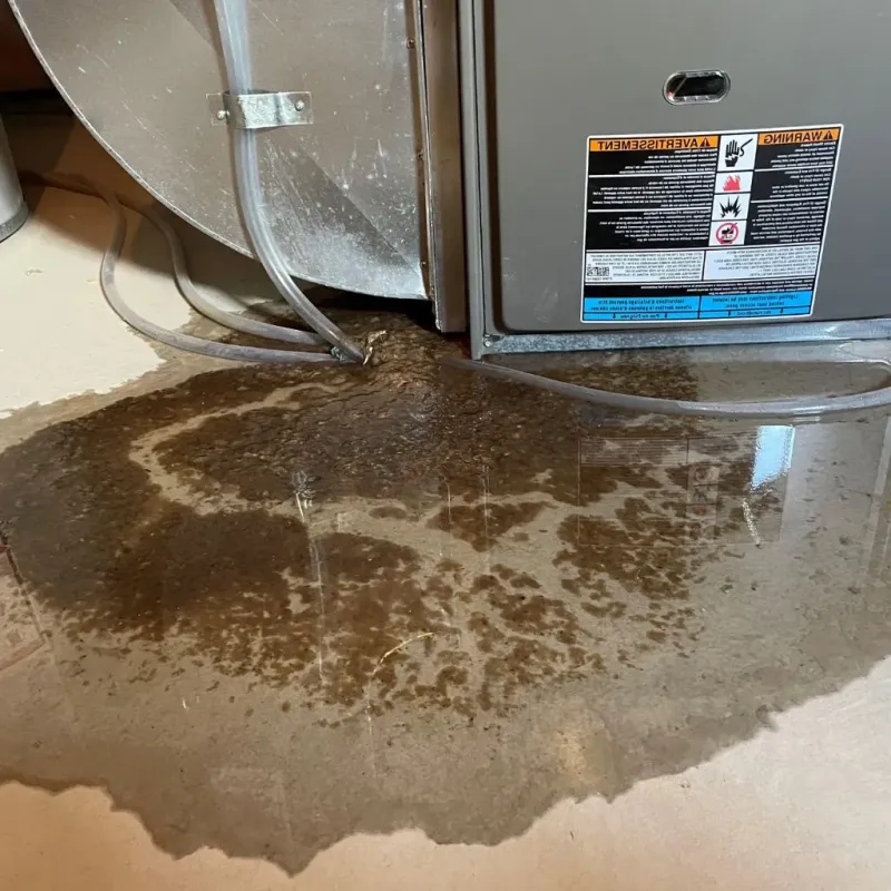 Pipe Burst and Leak Restoration in Boothbay, ME
